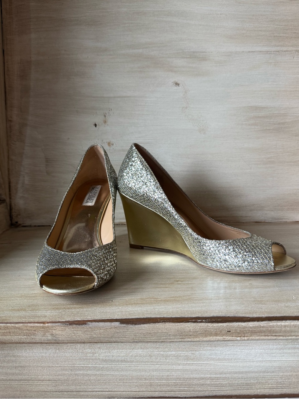 Badgley Mischka "Awake" Peep-Toe Evening Wedge Pump Size 9